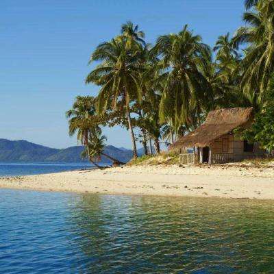 PG·麻将胡了下载手机版